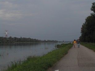 020820103417_1301amgestautenrheinarmrheinarm.jpg