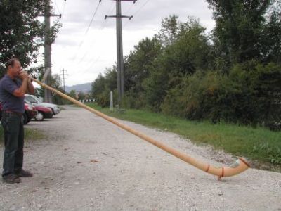 020827162356alphornblaesersuchtecho.jpg