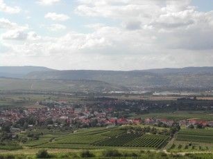 020805172003_859belohnenderblickmitockenheimhintenbingen.jpg
