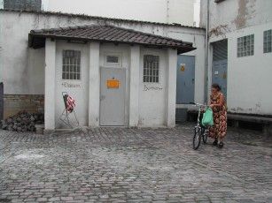 020806171759_874rollstuhltoiletteinalzeyerhinterhof.jpg