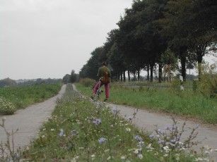 020807130409_899richtungpfeddersheim.jpg