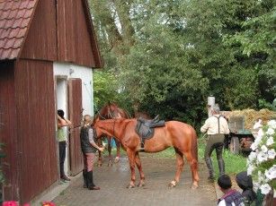 020812182642_1080vorbereitungzumausdruck.jpg