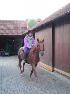 020812195120_1084rueckkehrmitwundemhinterteil.jpg