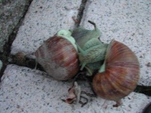 020813203447_1120sofortbestaetigtesvorurteilueberfranzosen.jpg