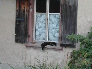 020814160613_1143einzigeshausauf20kilometernmitfaulerkatze.jpg