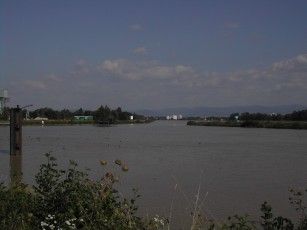 020814170656_1147blickvonfranzkiesereizumrheinundschwarzw.jpg